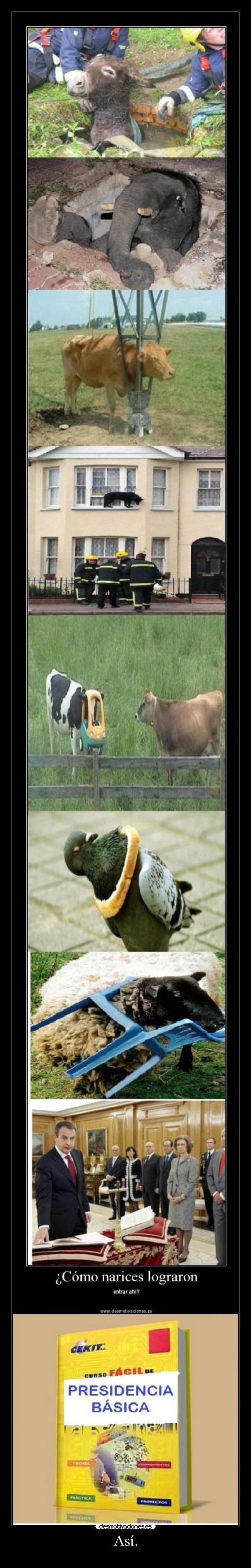 Así. -