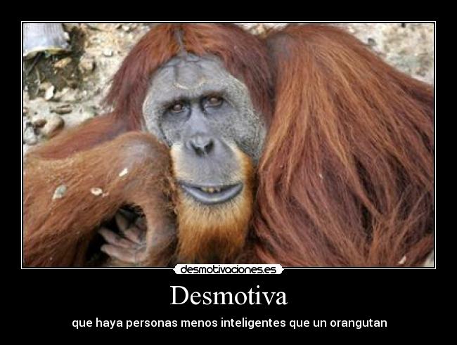 Desmotiva -