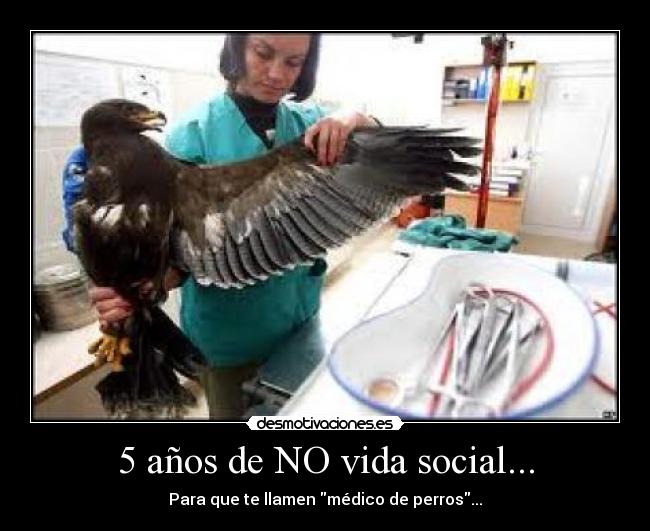 5 años de NO vida social... - Para que te llamen médico de perros...