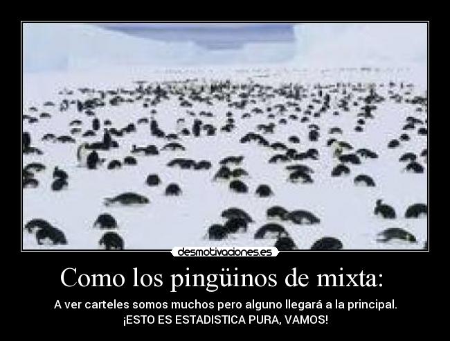 Como los pingüinos de mixta:  - 