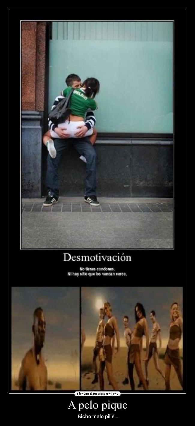 A pelo pique - Bicho malo pillé...