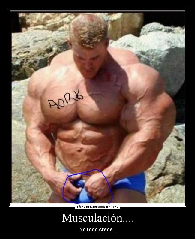 Musculación.... - 