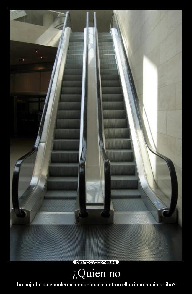 ¿Quien no - ha bajado las escaleras mecánicas mientras ellas iban hacia arriba?