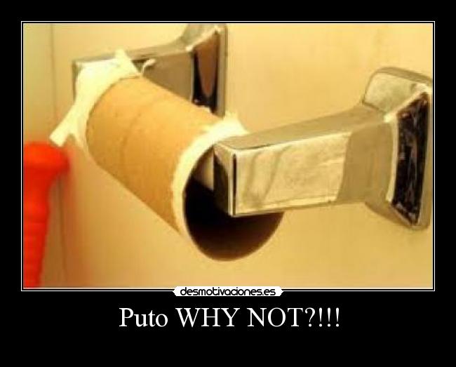 Puto WHY NOT?!!! -