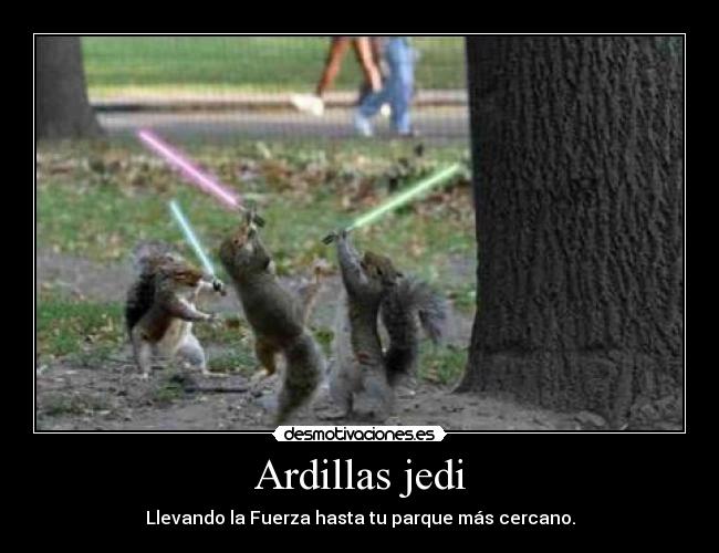carteles jedi ardillas lol epic epic fuerza ardillas parque desmotivaciones