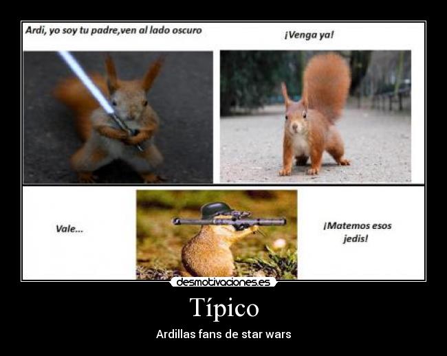 carteles ardillas desmotivaciones