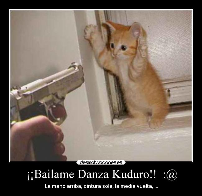 carteles actualidad musica animales accion armas desmotivaciones