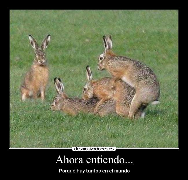 carteles mismo desmotivaciones