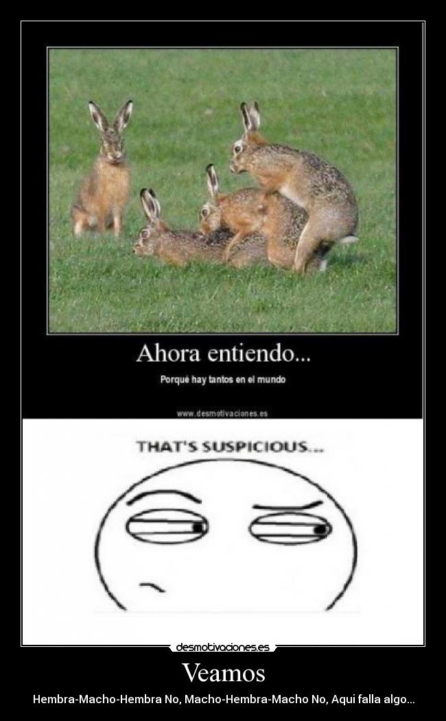 Veamos - Hembra-Macho-Hembra No, Macho-Hembra-Macho No, Aqui falla algo...