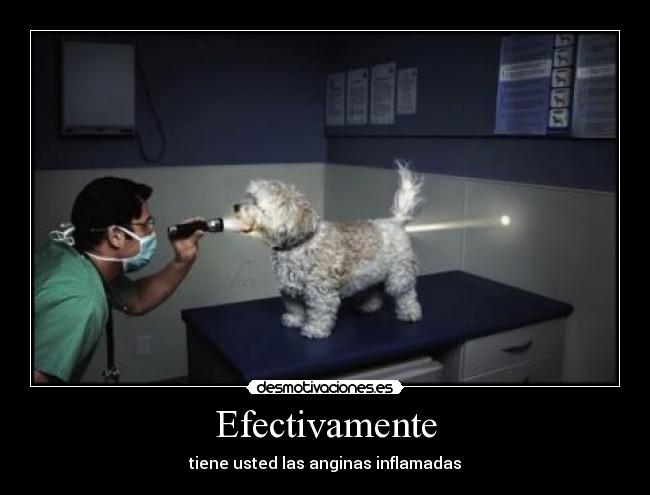 Efectivamente - tiene usted las anginas inflamadas