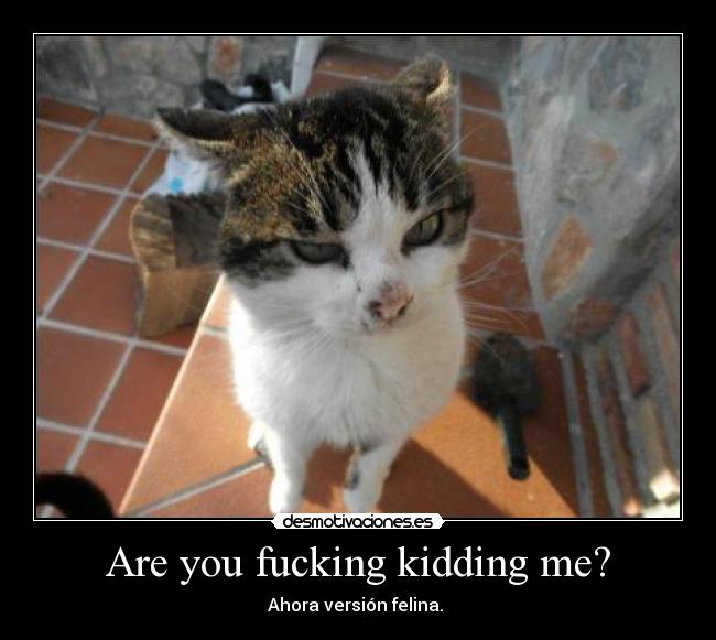 Are you fucking kidding me? -