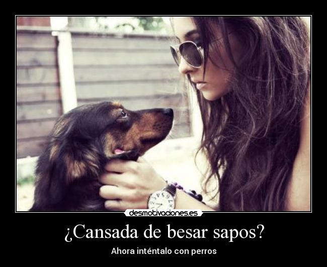 ¿Cansada de besar sapos? - 