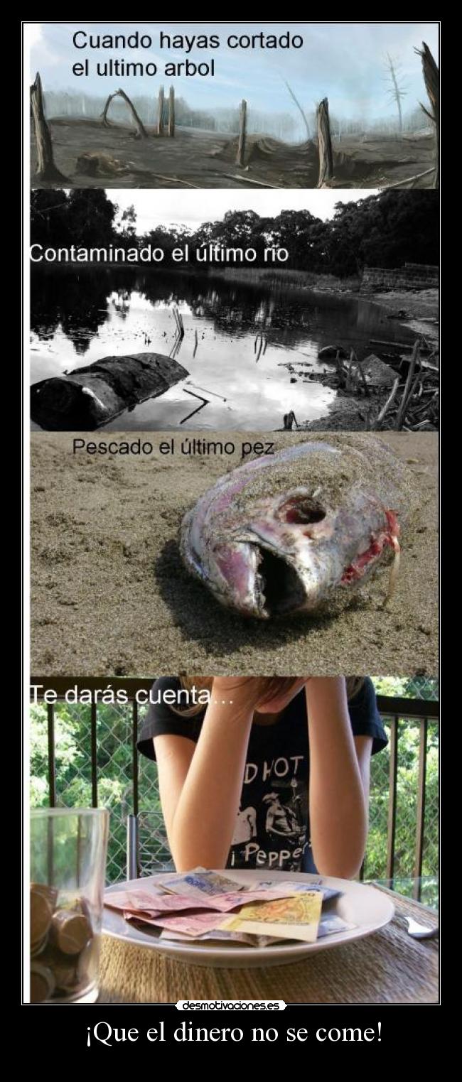 carteles dinero desmotivaciones