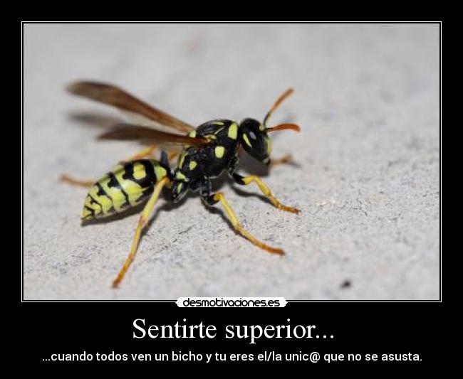 Sentirte superior... - 