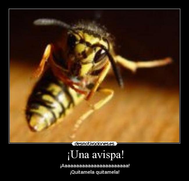 ¡Una avispa! - ¡Aaaaaaaaaaaaaaaaaaaaaaa!
¡Quitamela quitamela!