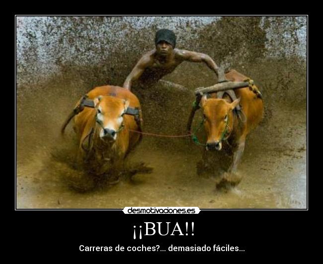 ¡¡BUA!! -