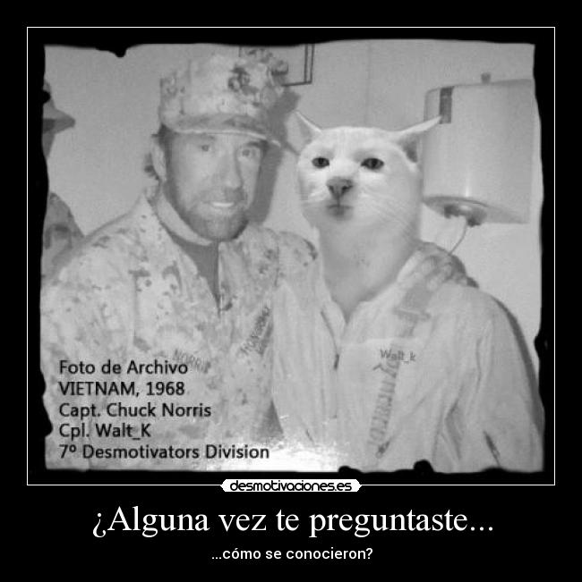 carteles chuck norris walt_k vietnam desmotivaciones