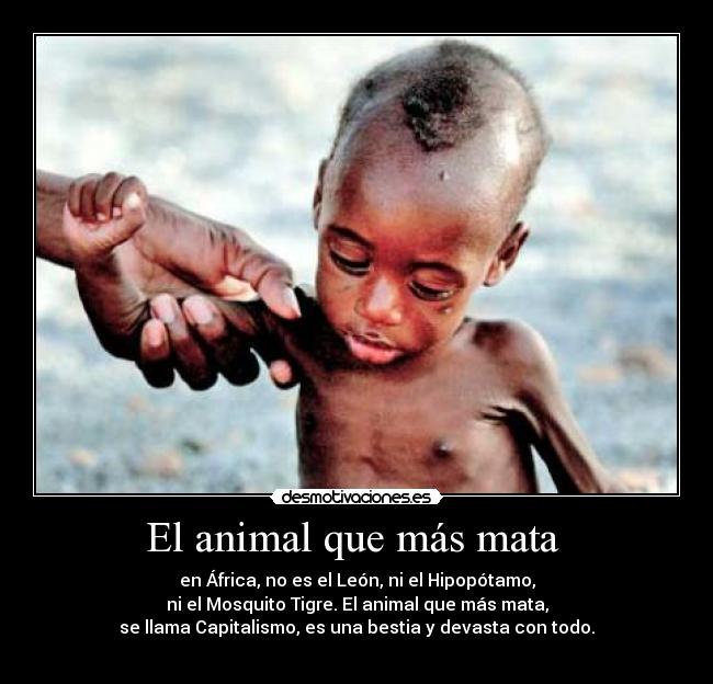El animal que más mata  - 