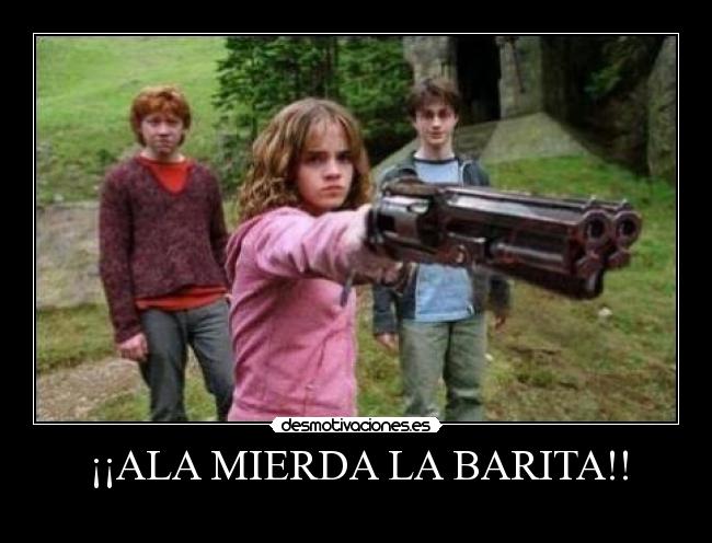 ¡¡ALA MIERDA LA BARITA!! -