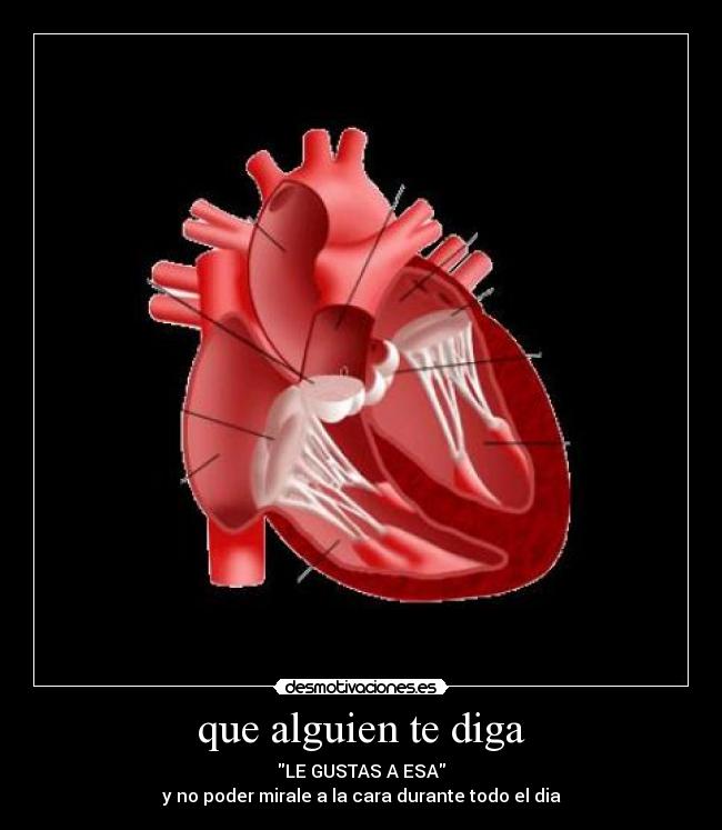que alguien te diga - LE GUSTAS A ESA
y no poder mirale a la cara durante todo el dia
