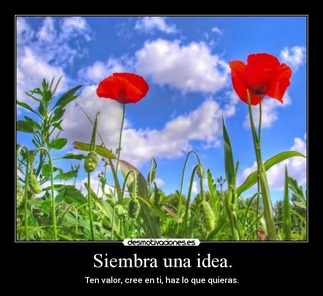 Siembra una idea. -