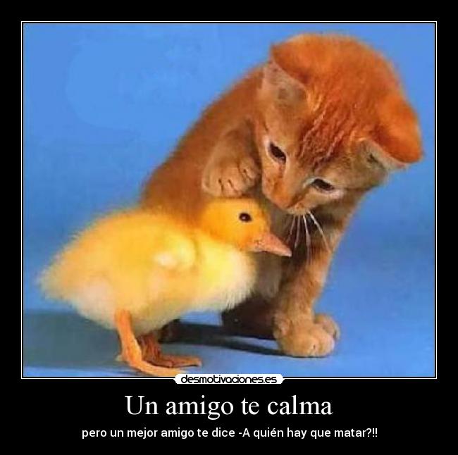 Un amigo te calma -