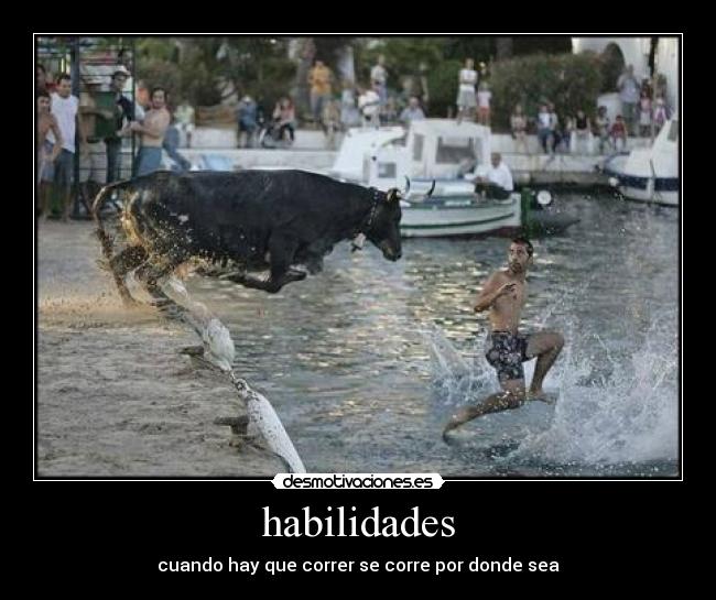 habilidades -