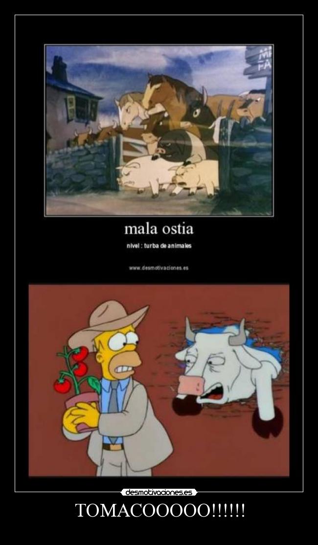 carteles tomaco desmotivaciones