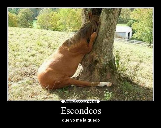 Escondeos - 