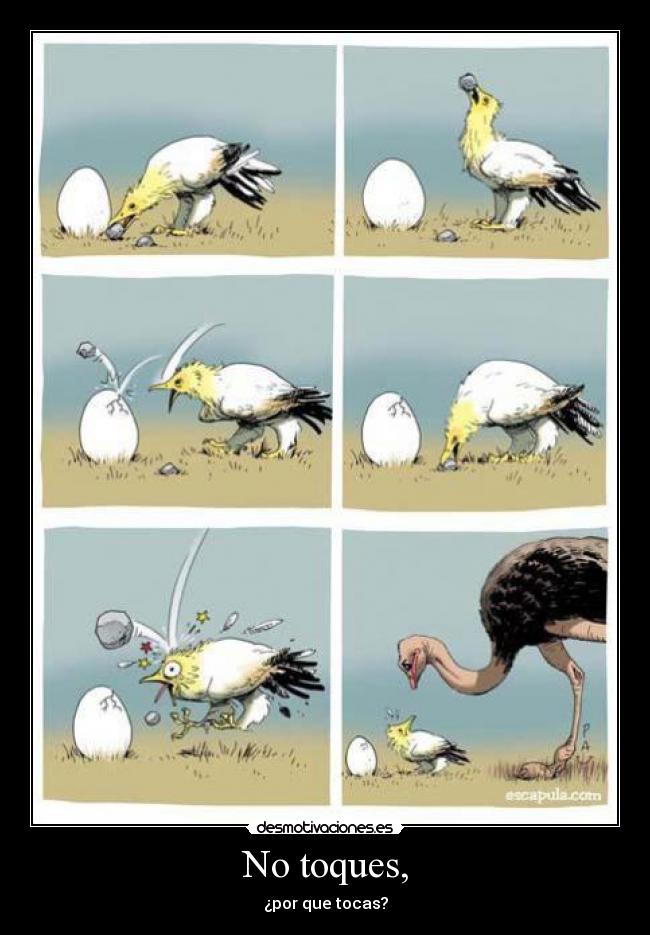No toques, - ¿por que tocas?