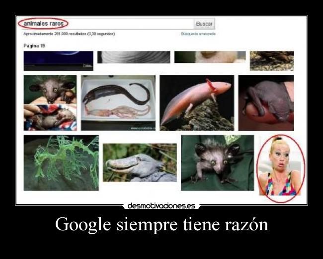 Google siempre tiene razón - 