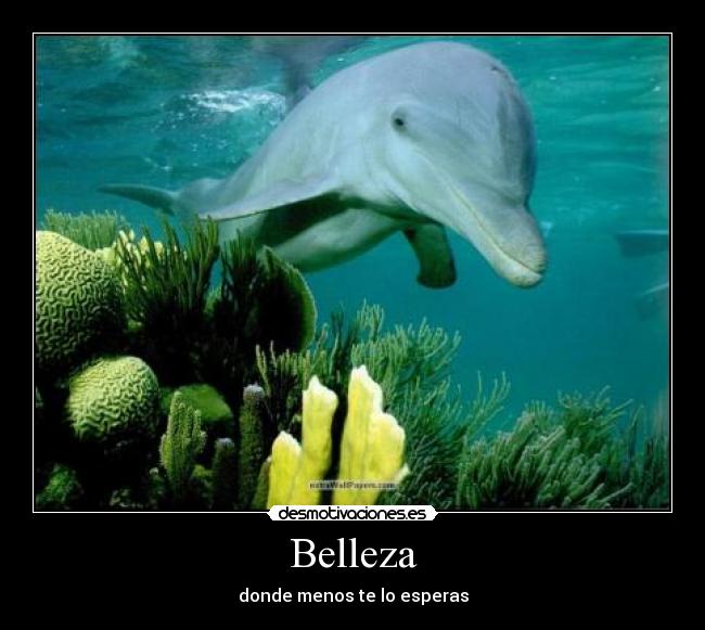 Belleza - donde menos te lo esperas