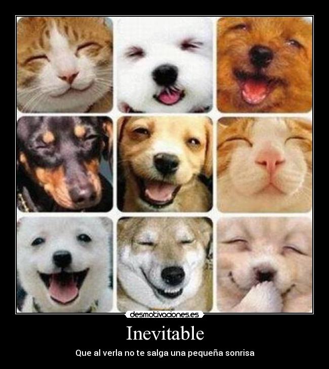 Inevitable -