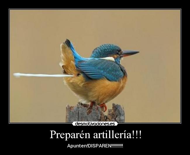 Preparén artillería!!! - Apunten!DISPAREN!!!!!!!!!!