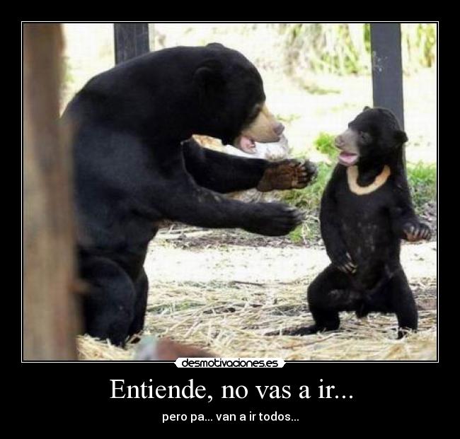 Entiende, no vas a ir... - 