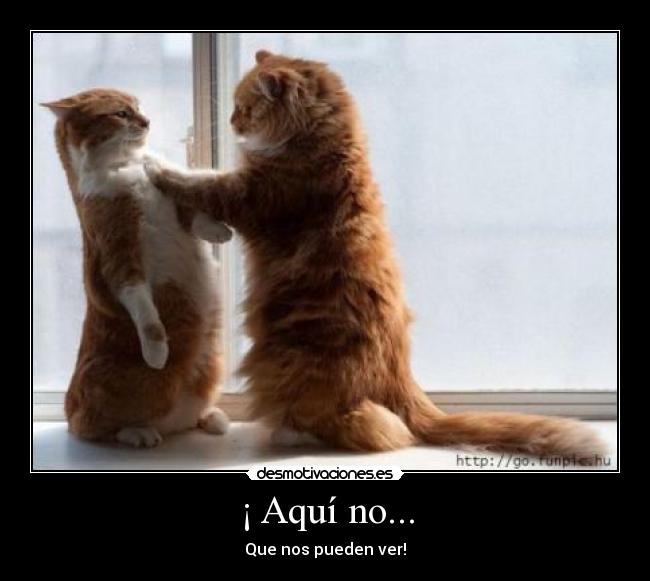 ¡ Aquí no... -