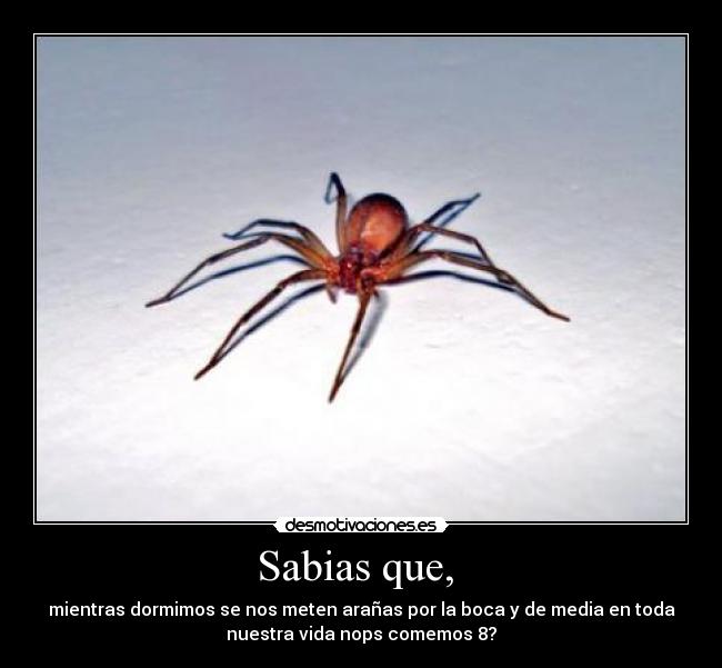 Sabias que,  - 