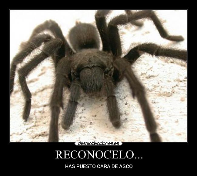 RECONOCELO... - HAS PUESTO CARA DE ASCO