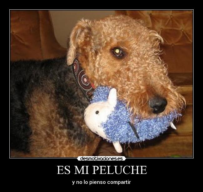 ES MI PELUCHE -