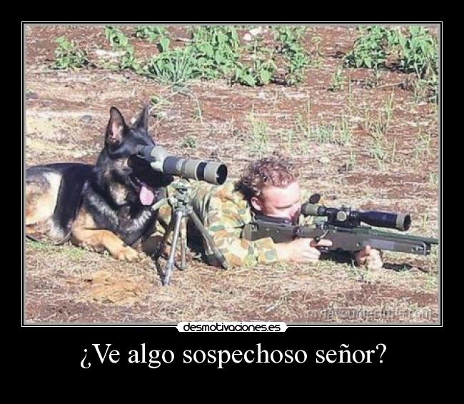 ¿Ve algo sospechoso señor? - 