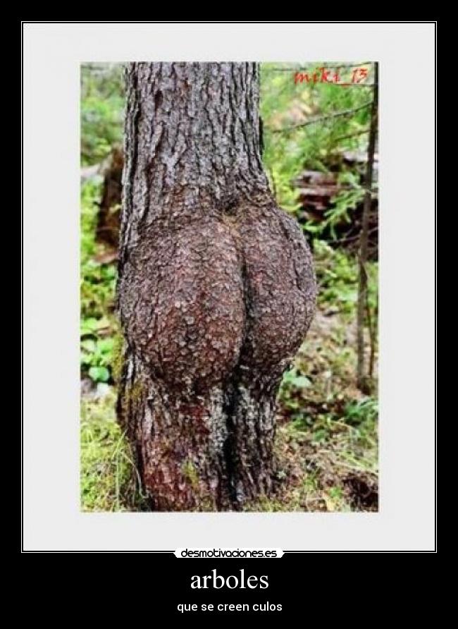 arboles -