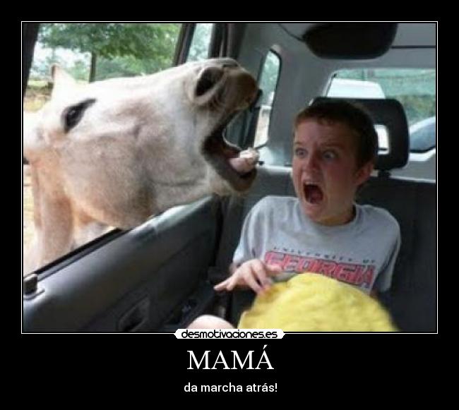 MAMÁ - 