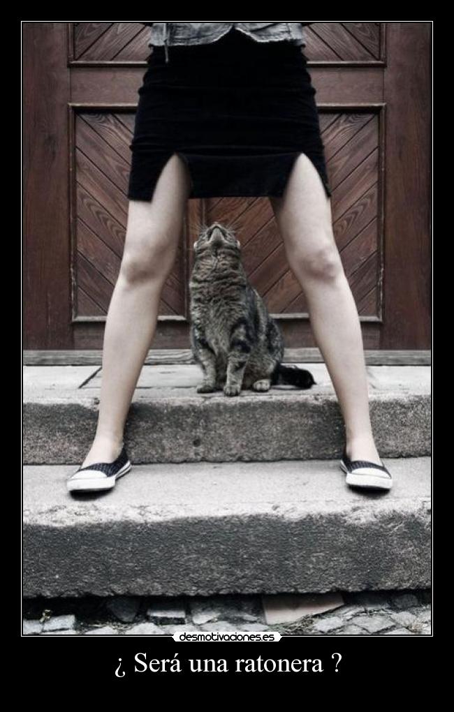 ¿ Será una ratonera ? - 