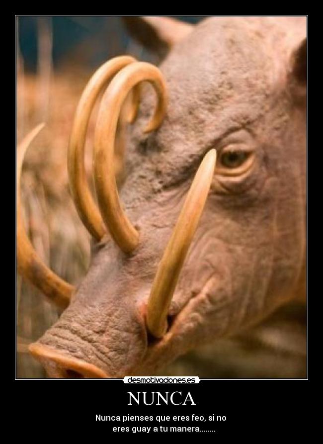 NUNCA - Nunca pienses que eres feo, si no
eres guay a tu manera........