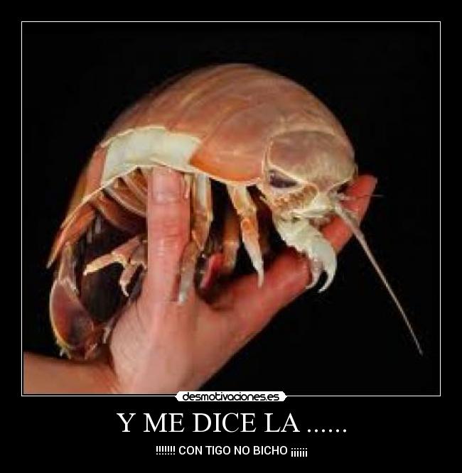 Y ME DICE LA ...... -