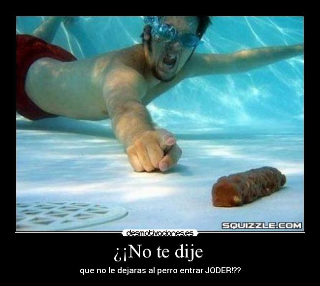 ¿¡No te dije  - que no le dejaras al perro entrar JODER!??