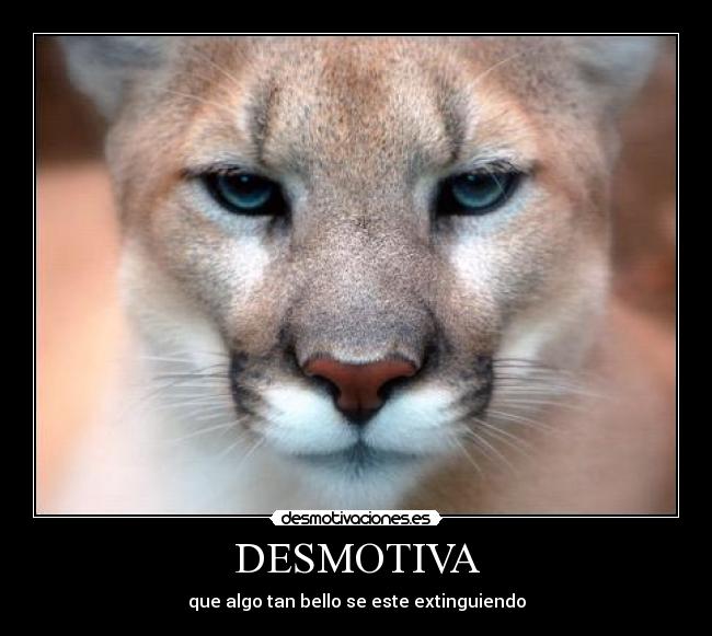DESMOTIVA -