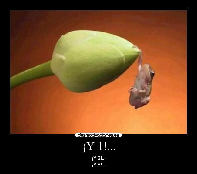 ¡Y 1!... -