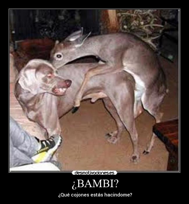 ¿BAMBI? - 