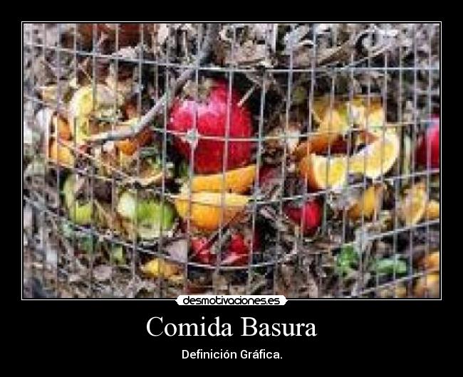 Comida Basura - Definición Gráfica.